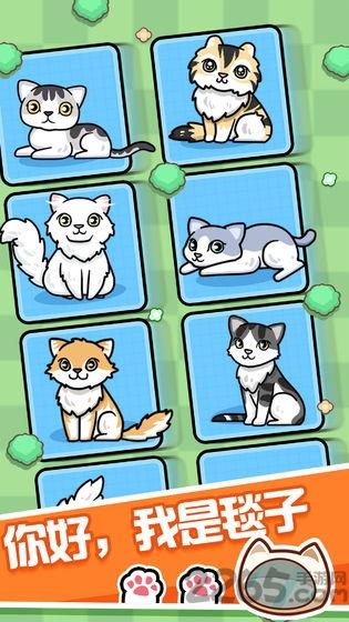 跑跑云养猫内购破解版下载,跑跑云养猫,猫咪游戏,养成游戏