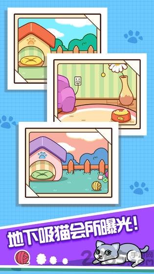 跑跑云养猫内购破解版下载,跑跑云养猫,猫咪游戏,养成游戏